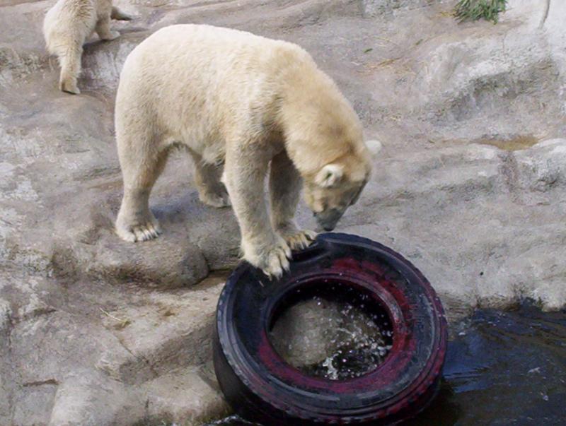 100_3953.JPG.jpg