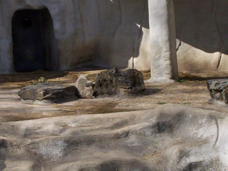 100_3992.JPG.jpg