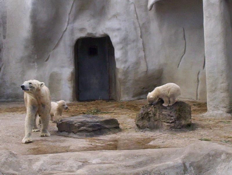 100_4027.JPG.jpg