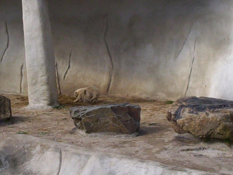 100_4048.JPG.jpg