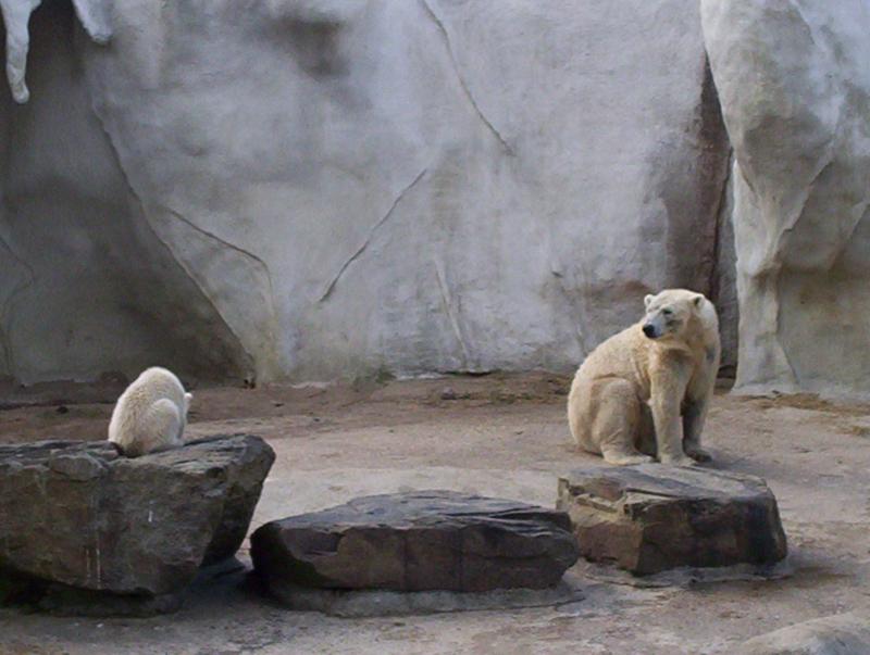 100_4049.JPG.jpg