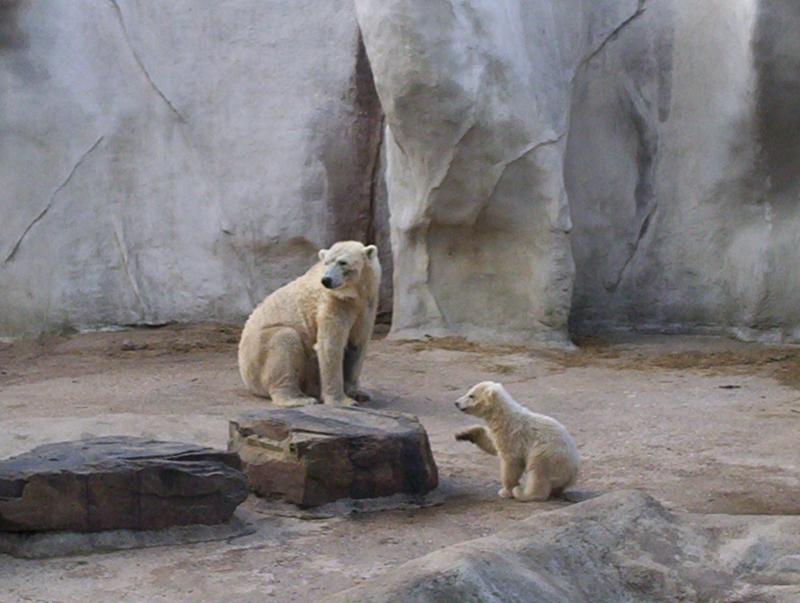 100_4050.JPG.jpg