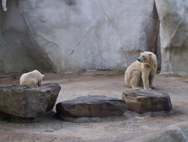 100_4056.JPG.jpg