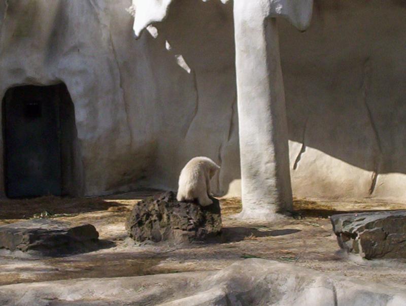 100_4060.JPG.jpg