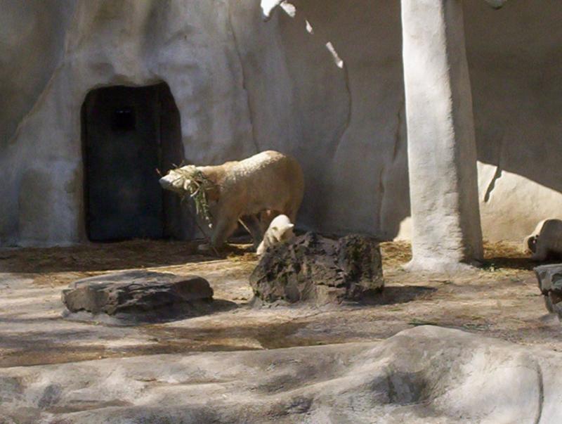 100_4072.JPG.jpg