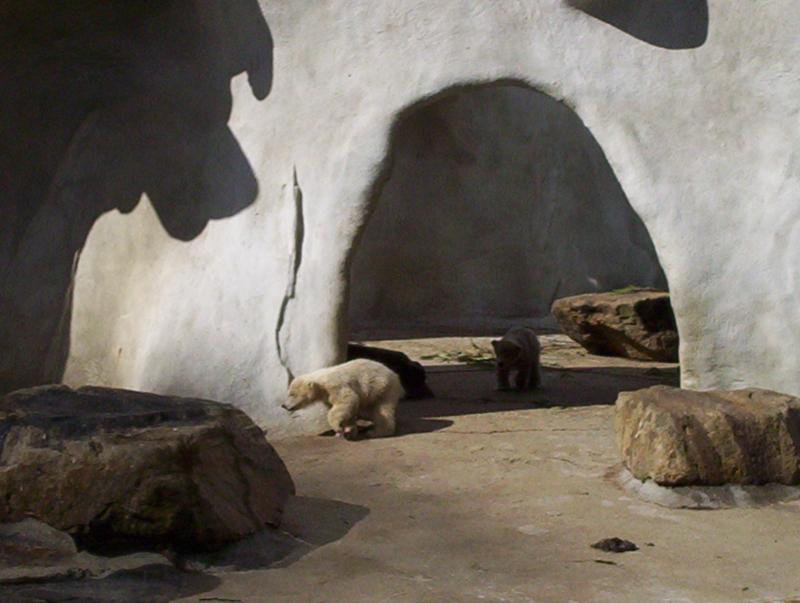 100_4089.JPG.jpg