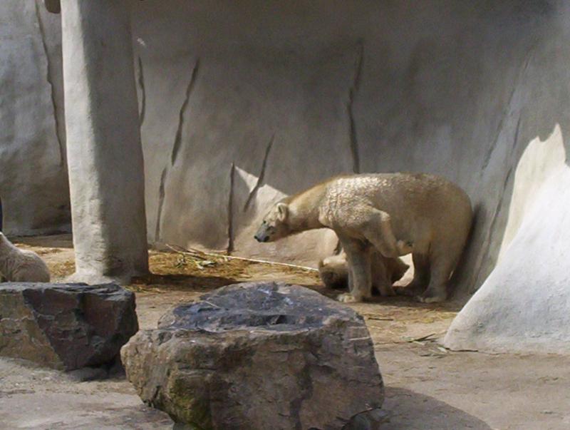 100_4123.JPG.jpg