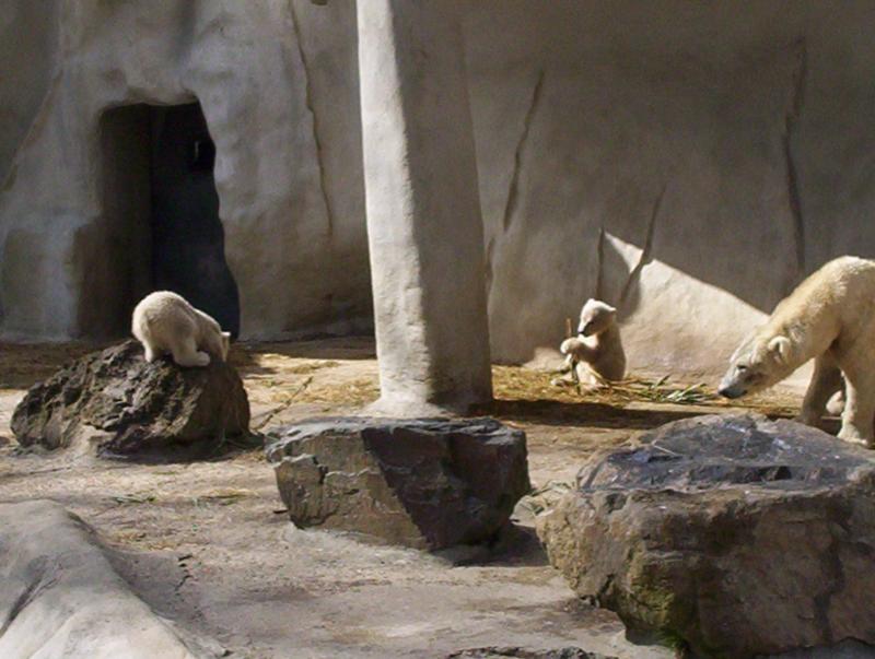 100_4125.JPG.jpg