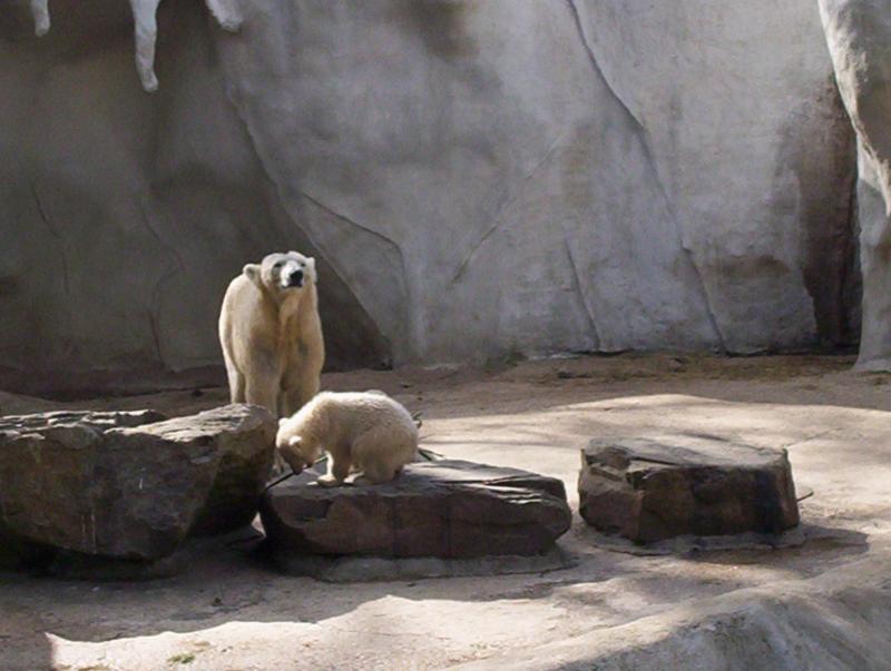 100_4151.JPG.jpg
