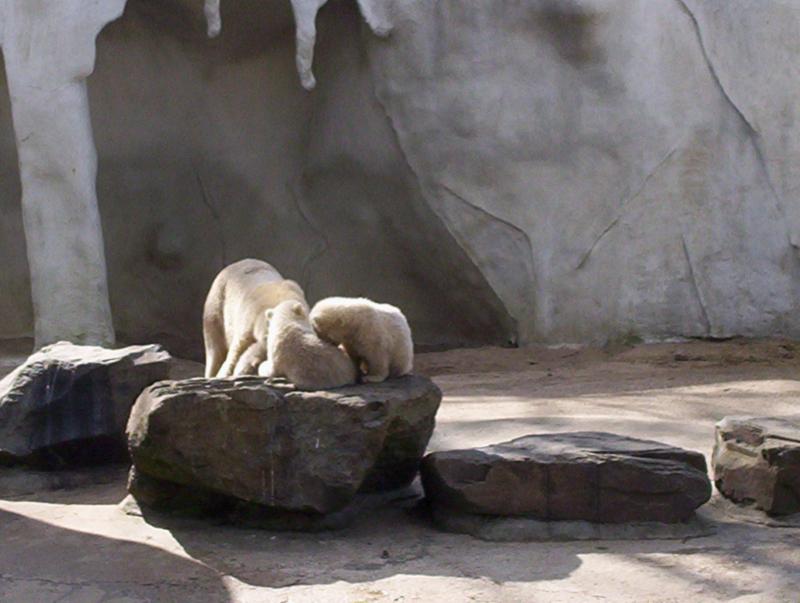 100_4167.JPG.jpg